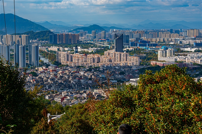 DSC06943.jpg DSC06943.jpg