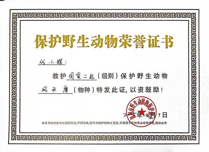 图片9.png 图片9.png